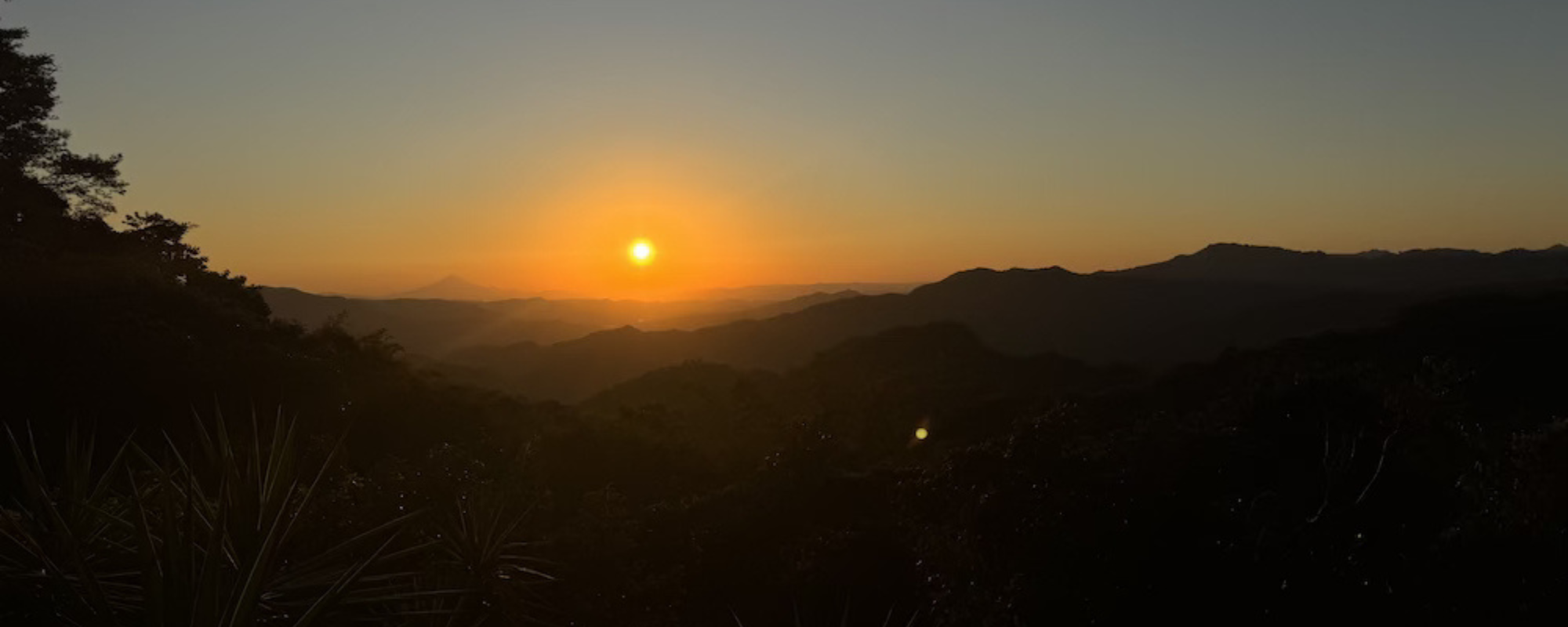 Accepted into the 2026 Emerging Leader Program